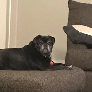 Meet your Posher, Pam